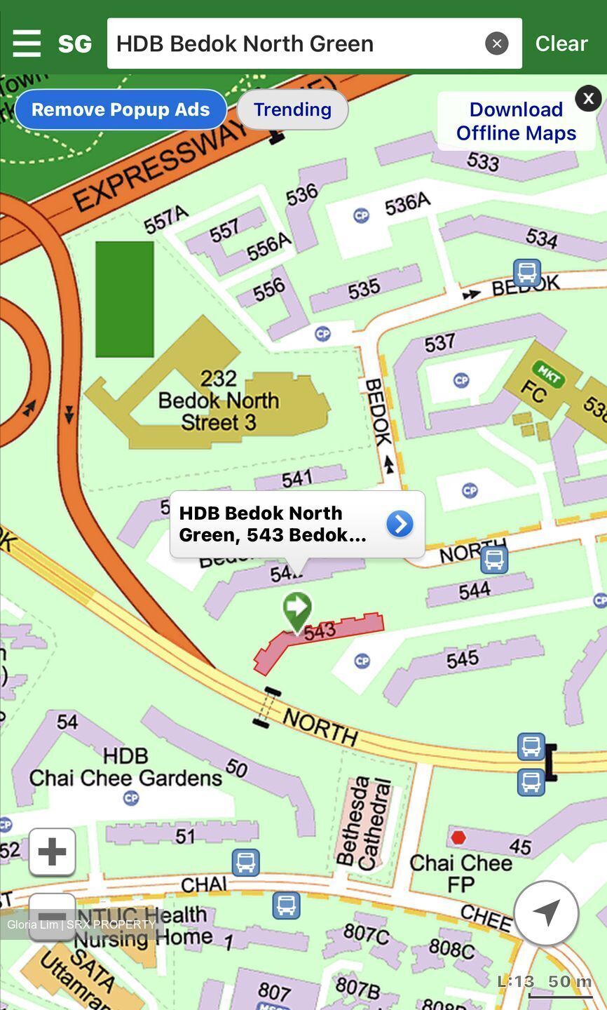 Blk 540 Bedok North Green (Bedok), HDB 3 Rooms #623702051